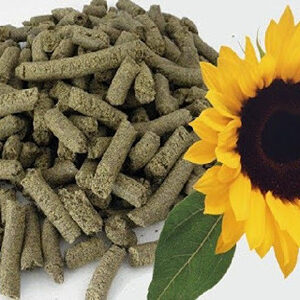 کنجاله آفتابگردان