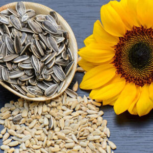 تخمه آفتابگردان